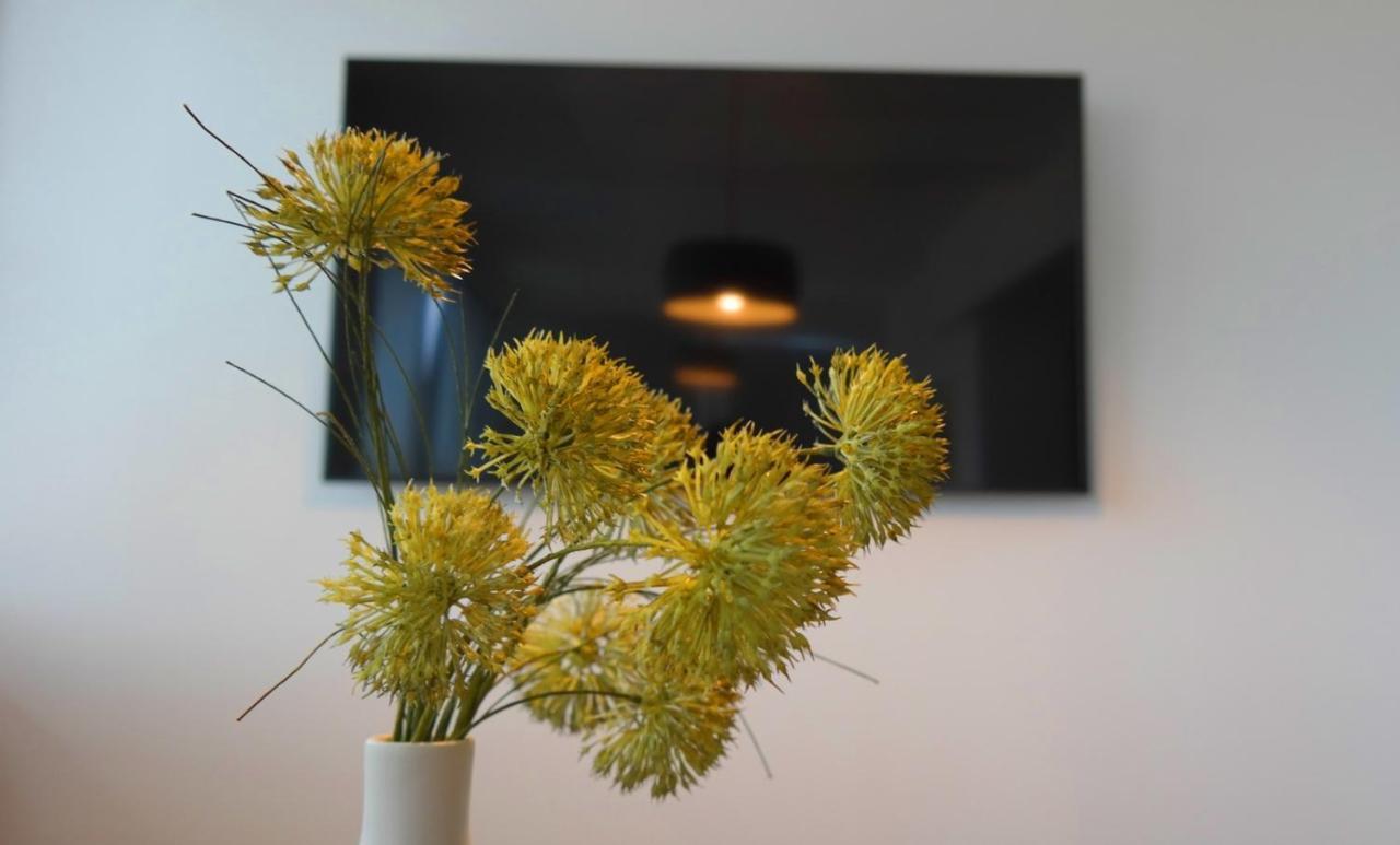 Apartment Flora Pula Dış mekan fotoğraf